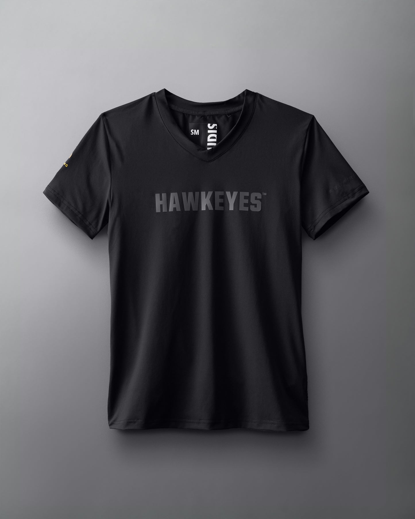 Hawkeyes Performance Stretch Women's V-Neck T-Shirt