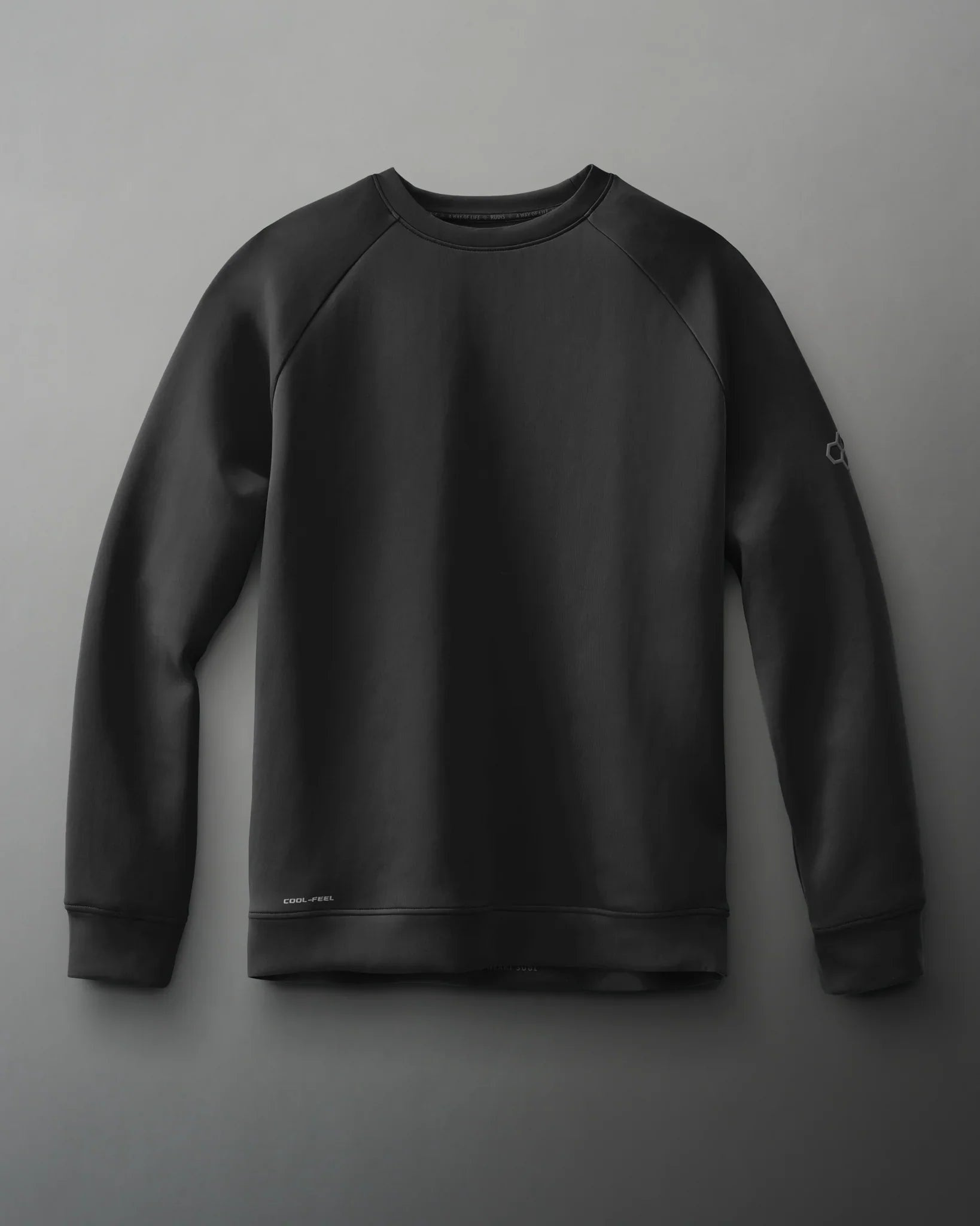 Black sweatshirt with a crew neck and long sleeves, showcased on a gray background, combining comfort and a modern aesthetic.